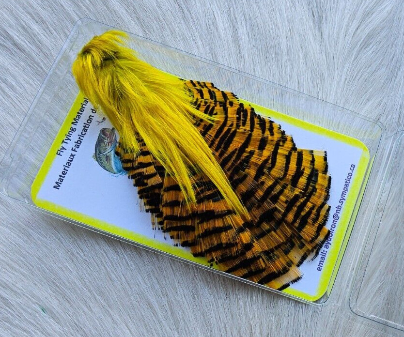 Golden Pheasant Cape Feather.  Color; Chartreuse. Grade "A". Fly Tying.
