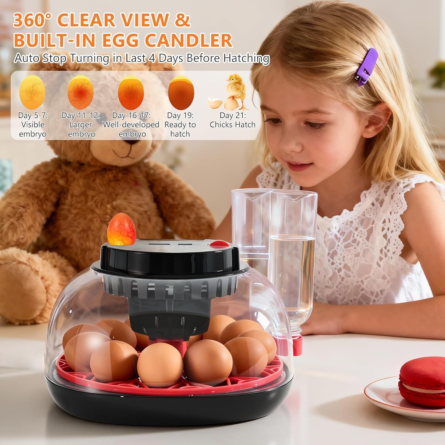 Incubators for Hatching Eggs - 12 Egg Capacity, Egg Incubator with Automatic