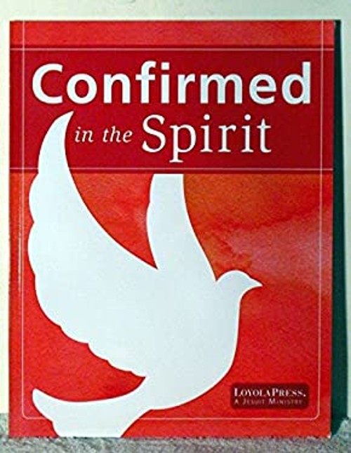 Confirmed in the Spirit 2014 Young People's Book Paperback