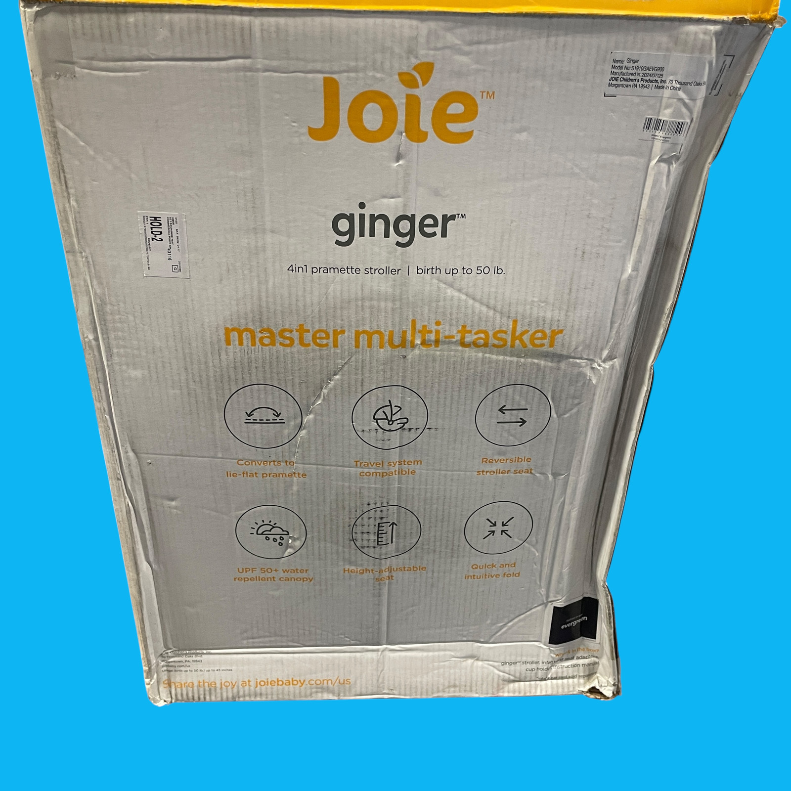 Joie Ginger Height Adjustable Pramette Stroller Evergreen #NO8824 (AR)