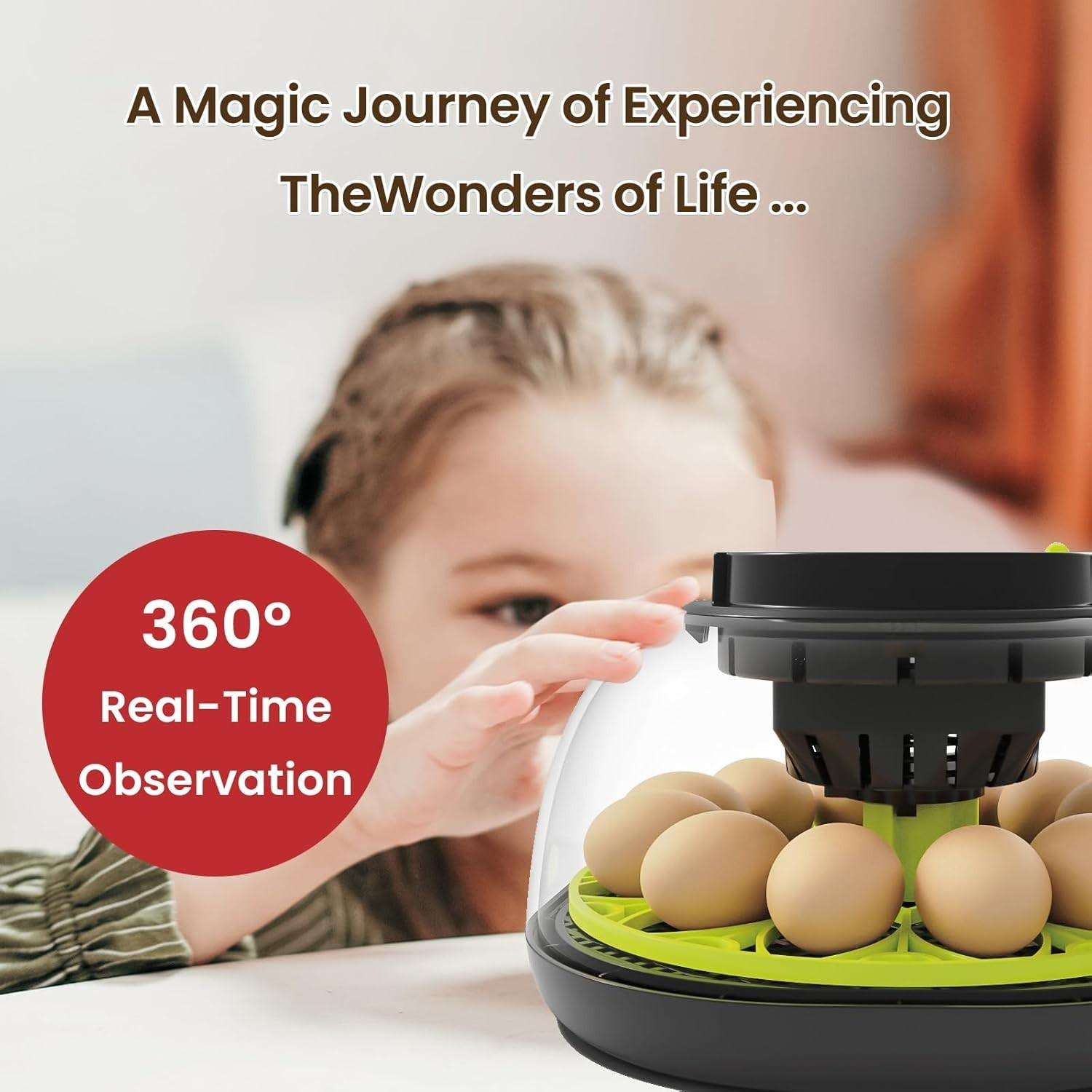 Efficient 12 Egg Incubator with Automatic Turning and Humidity Control Functions