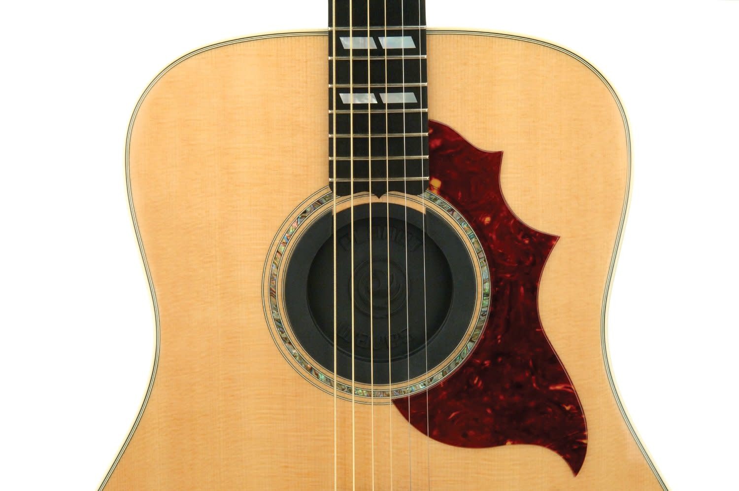 D'Addario Screeching Halt Feedback Suppressor