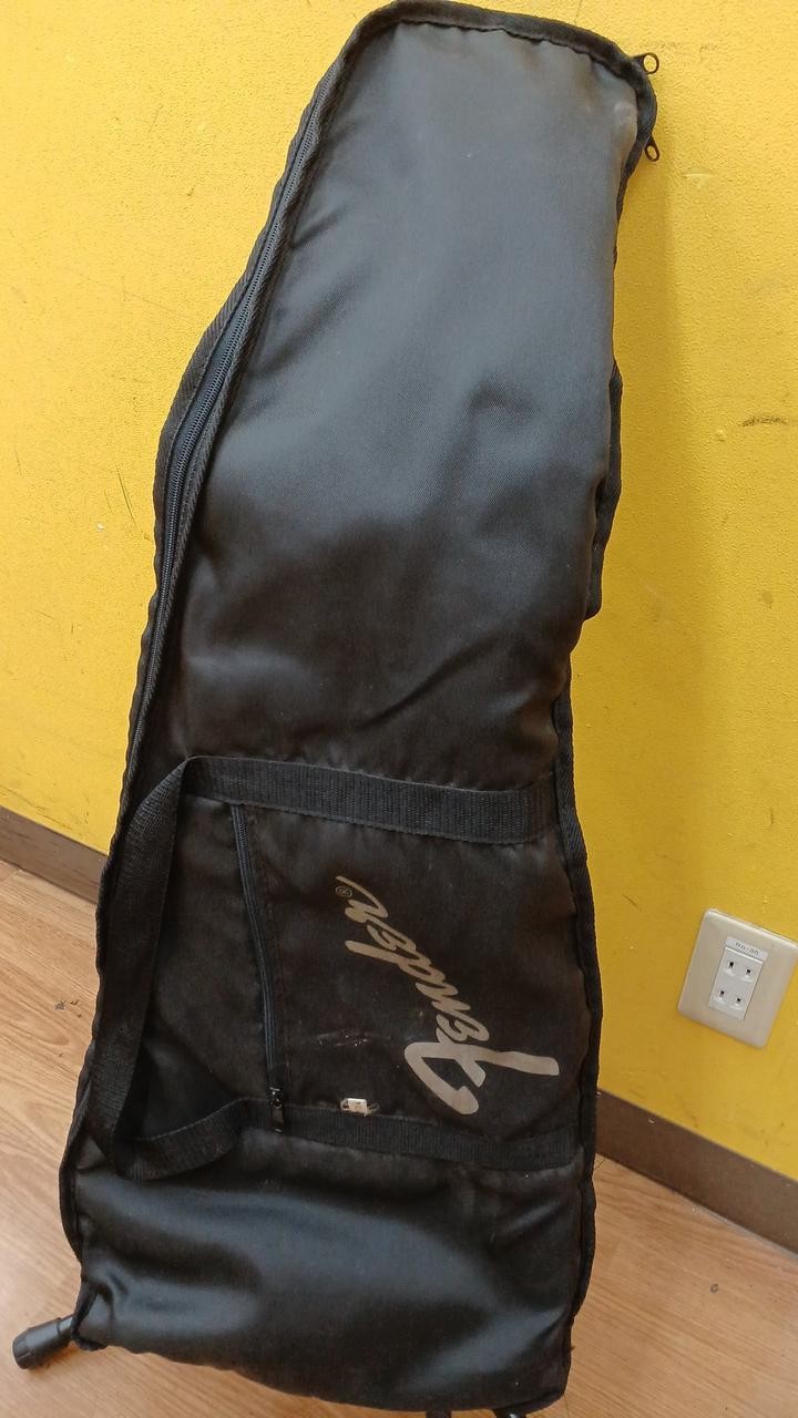 FENDER JAPAN MST-35 (NO251005)