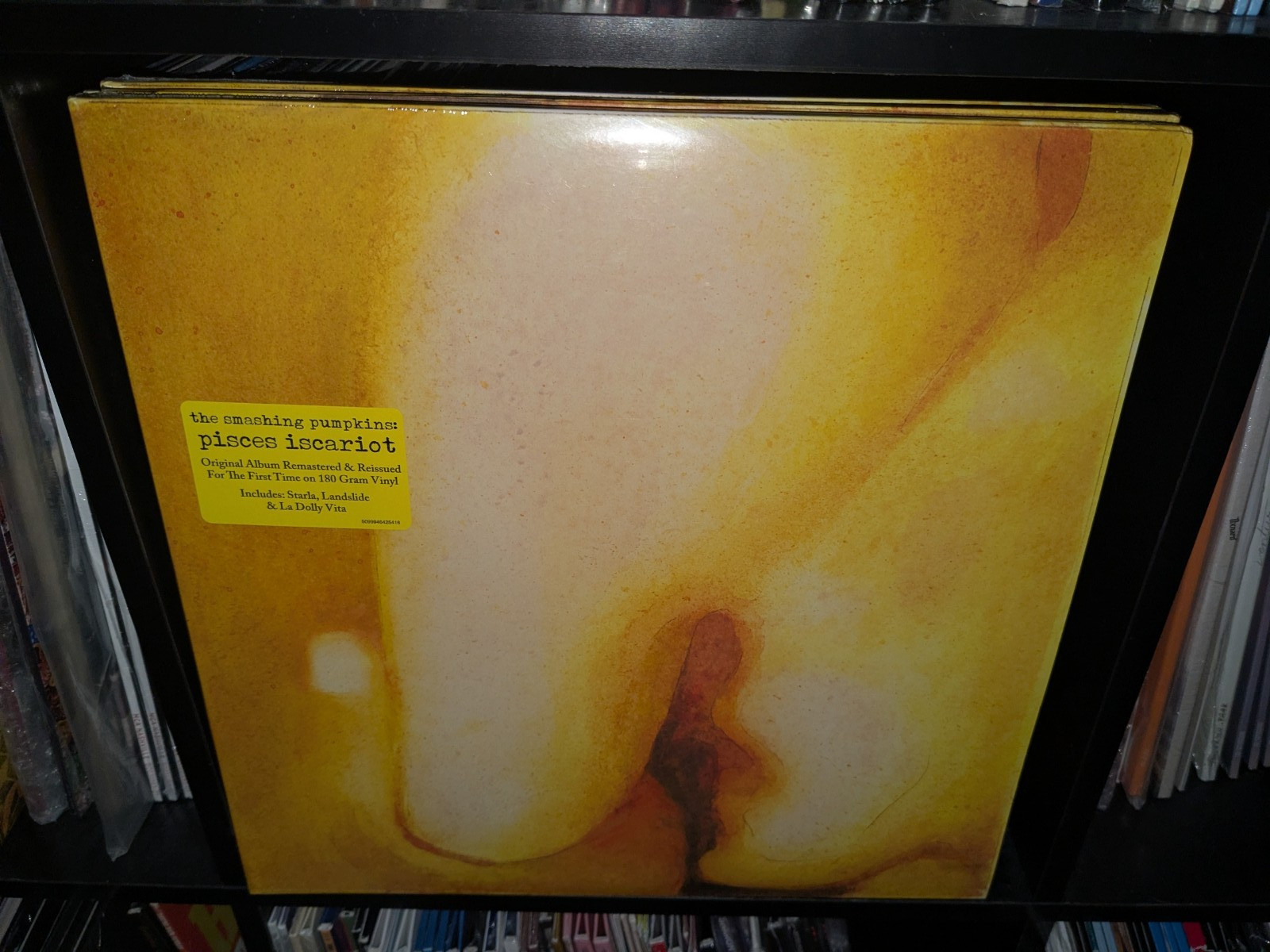 The Smashing Pumpkins - PISCES ISCARIOT - Vinyl LP - NEW & SEALED!!