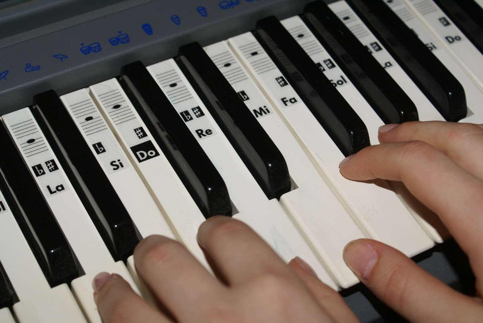Piano Keyboard Music Note Stickers (for all types) Solfège Vinyl