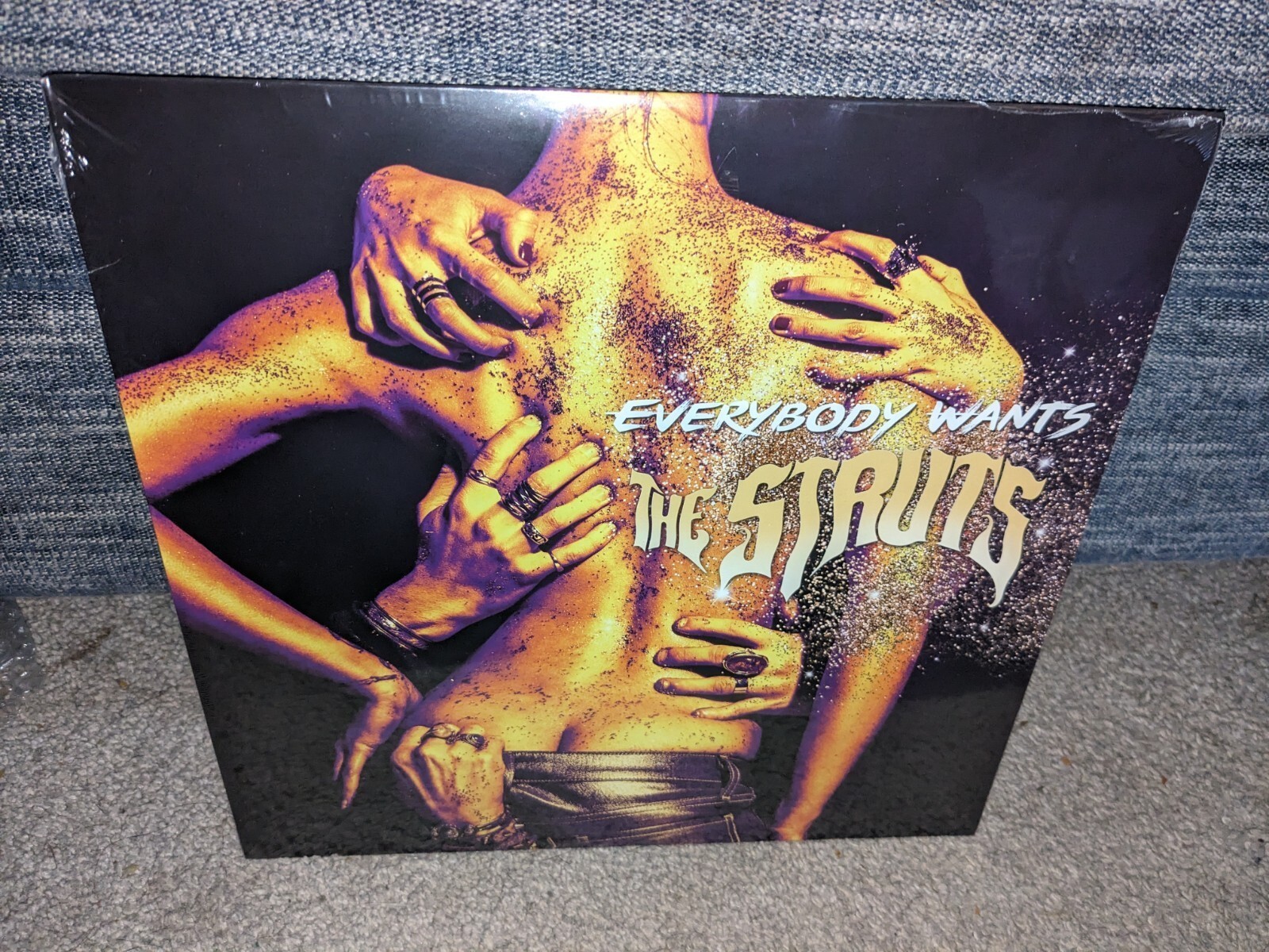 The Struts - EVERYBODY WANTS - Vinyl LP - NEW & SEALED! Rare Album!!