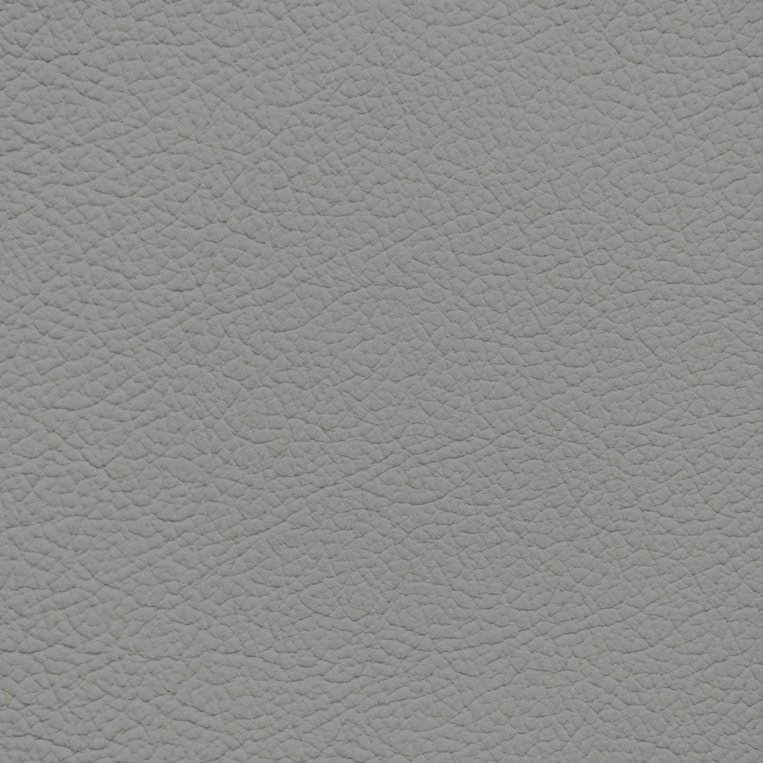 GM Light Titanium Leather Dye