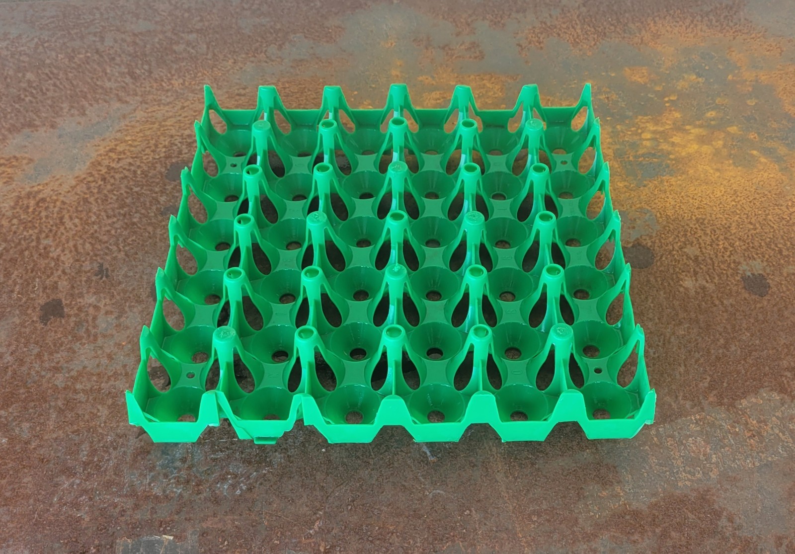 36-egg, Incubator Tray, Turkey.