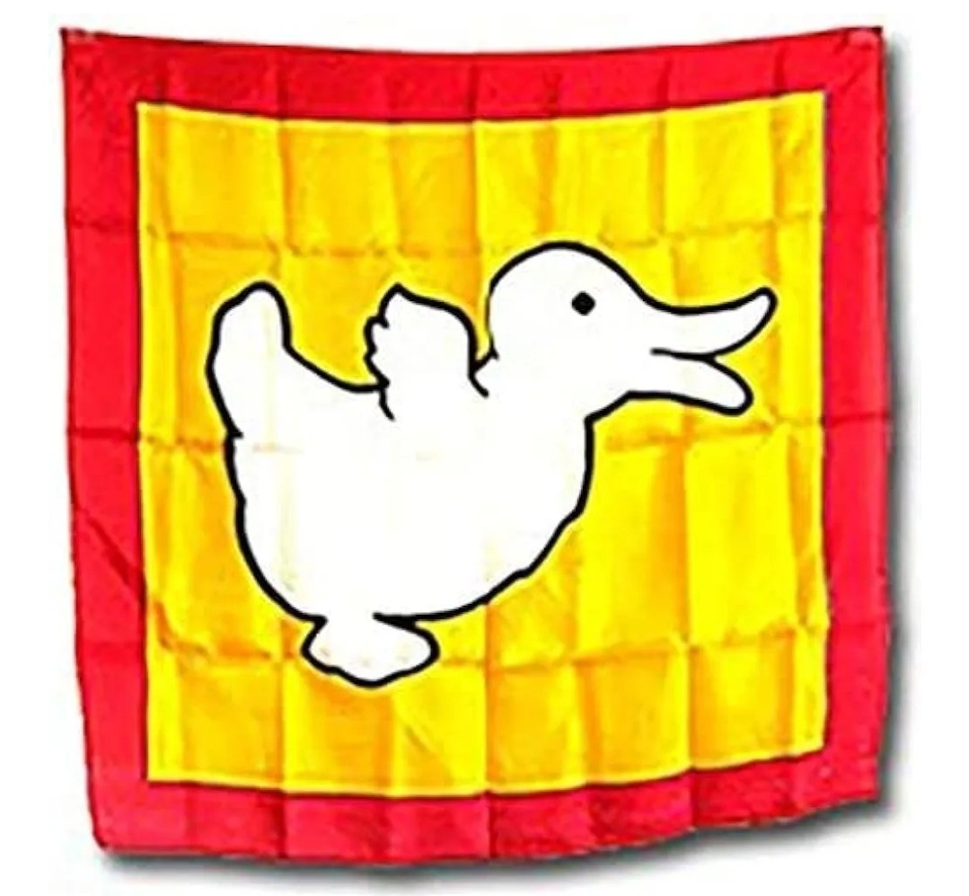 Magic Trick Rabbit to Duck Changing Silk ScarF