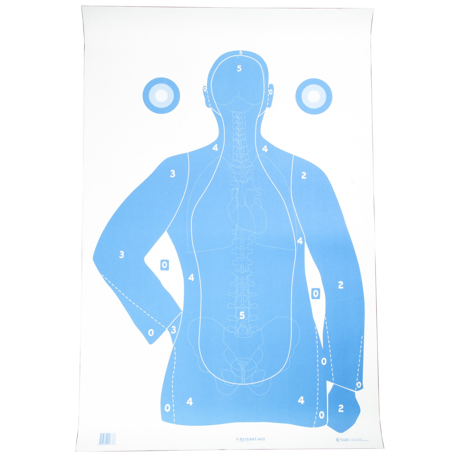 Action Target B-21E Vital Anatomy Fluorescent Target 23x35 100 Pack Paper