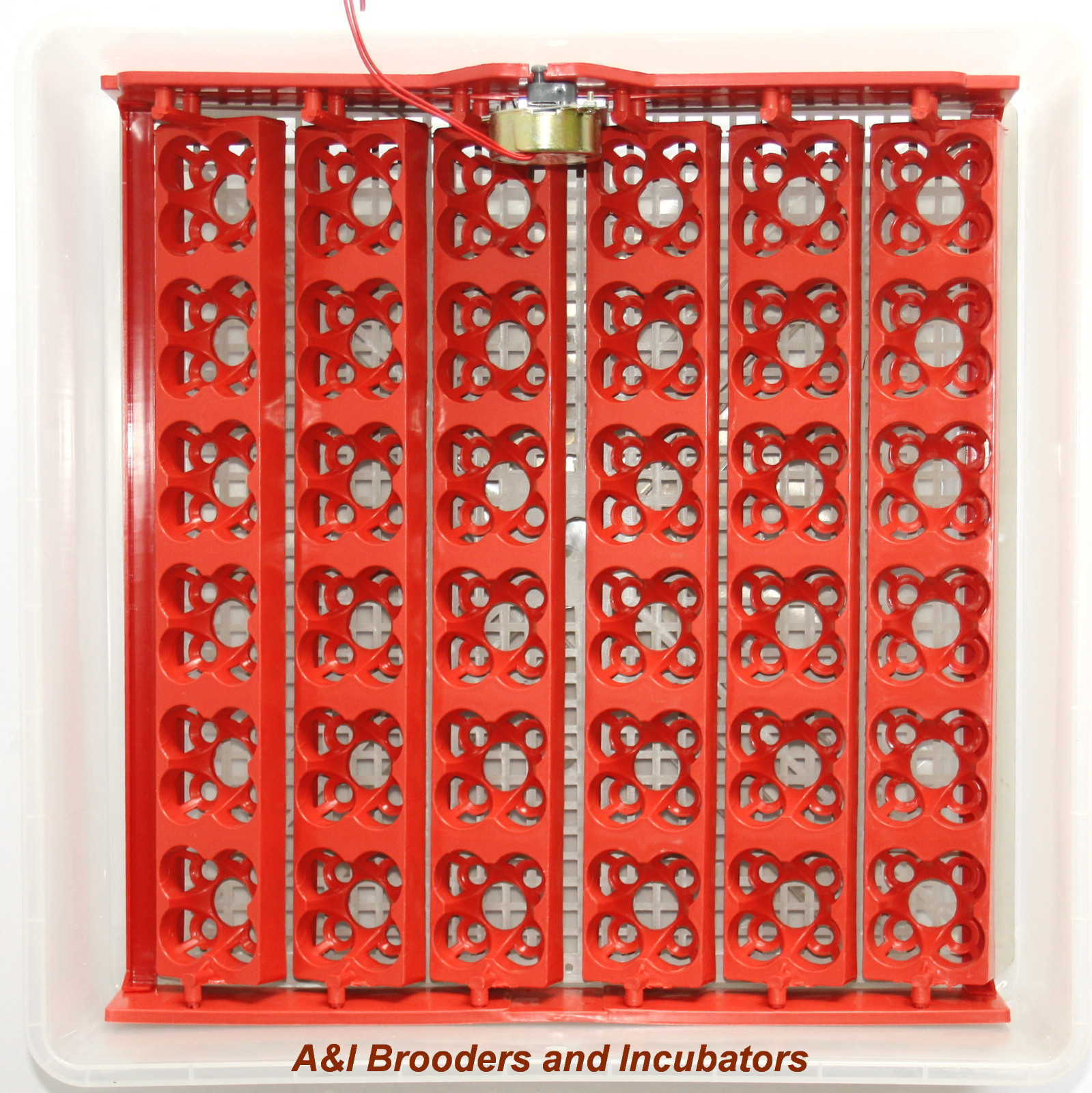 144 QUAIL Egg Turner Tray 110Volt 1/240RPM  Electric plug NEW (Not Incubator)
