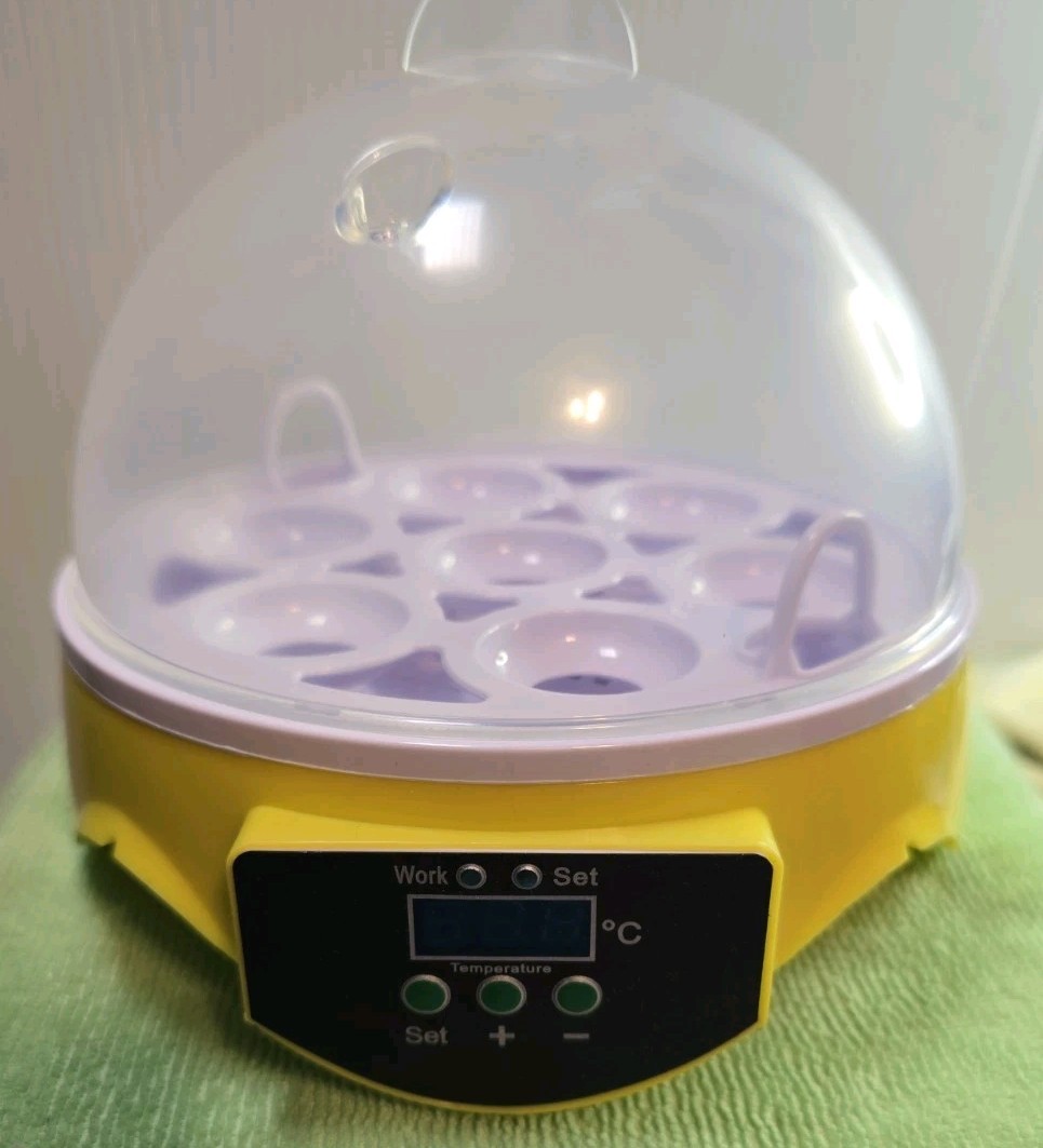 7 Eggs Automatic Digital Egg Incubator Chicken Bird Hatchers Temperature Control