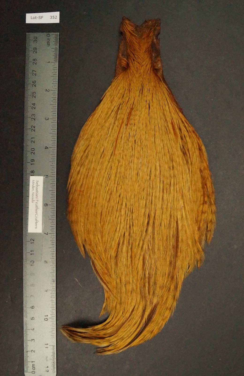 Commercial Keough Dyed Light Barred Ginger Neck Lot-SF 352