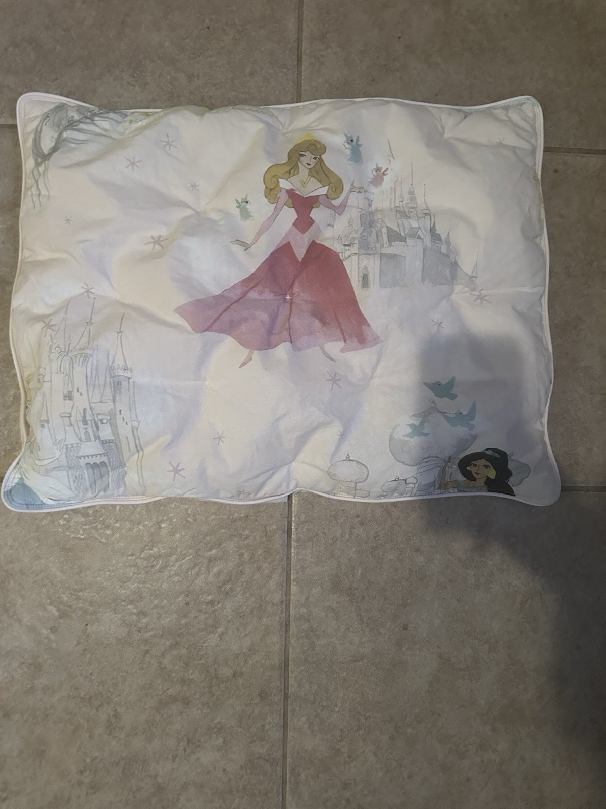 Pottery Barn Kids 1 Pillowcase Only.