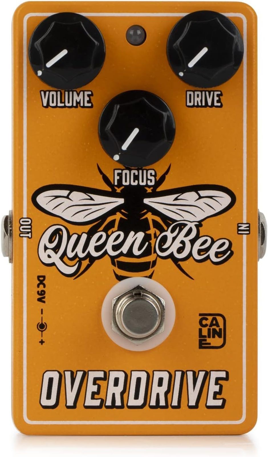Caline CP-503 Queen Bee Overdrive Player Favorite Fast US Ship