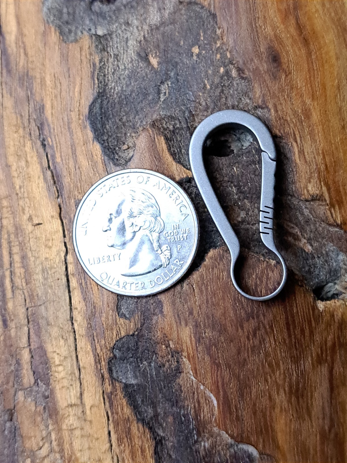 Pro Mini Series Titanium Carabiner