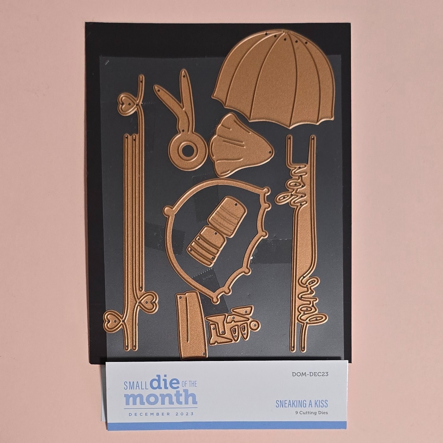 Spellbinders Sneaking A Kiss Dies DOM-DEC23 w/Magnetic Mat & Storage Envelope