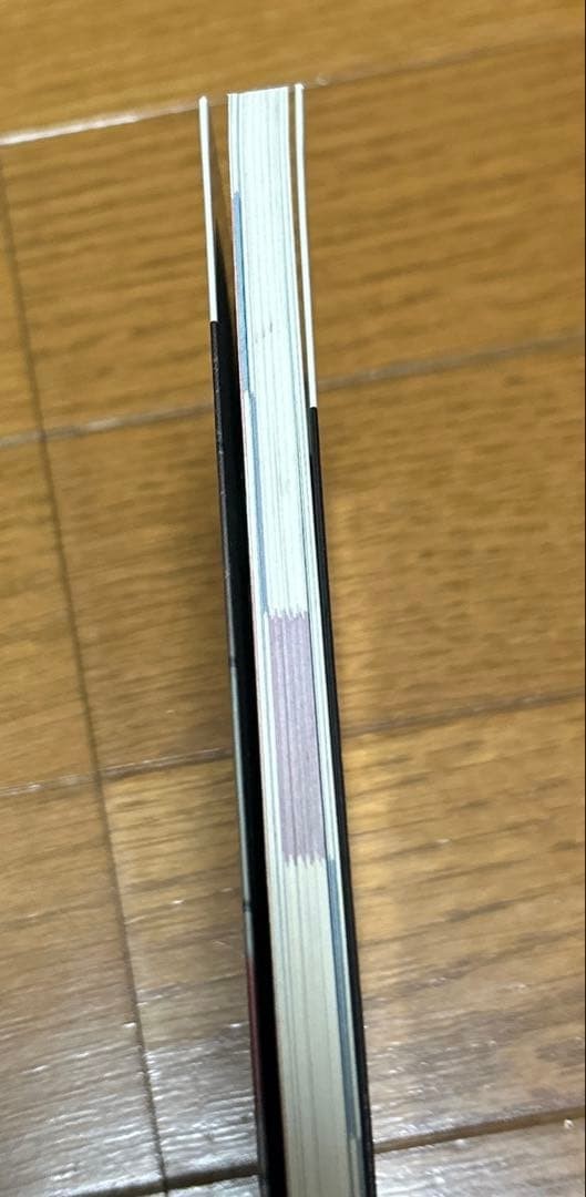 Strategy Guide Silent Hill Perfect SILENT HILL