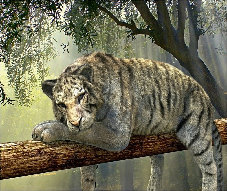 WHITE TIGER IN A TREE COMPUTER MOUSE PAD  9 X 7 FABRIC AND RUBBER