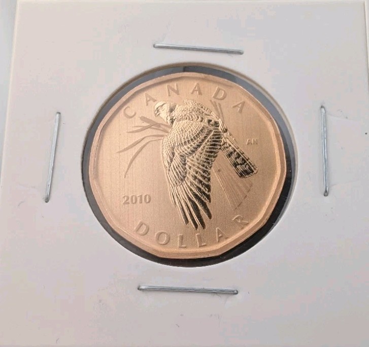 2010 Canada Loonie $1 Specimen Northern Harrier Bird Coin BU RCM