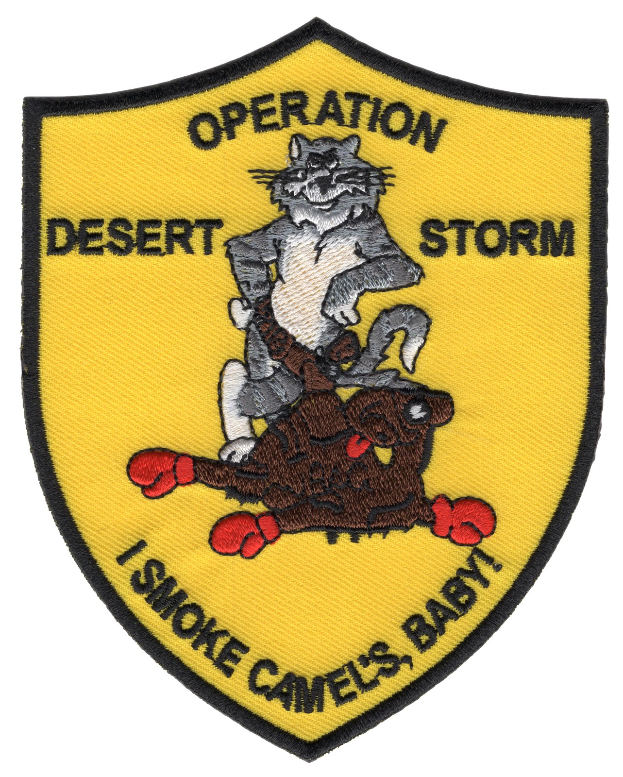 F-14 Tomcat Operation Desert Storm Patch
