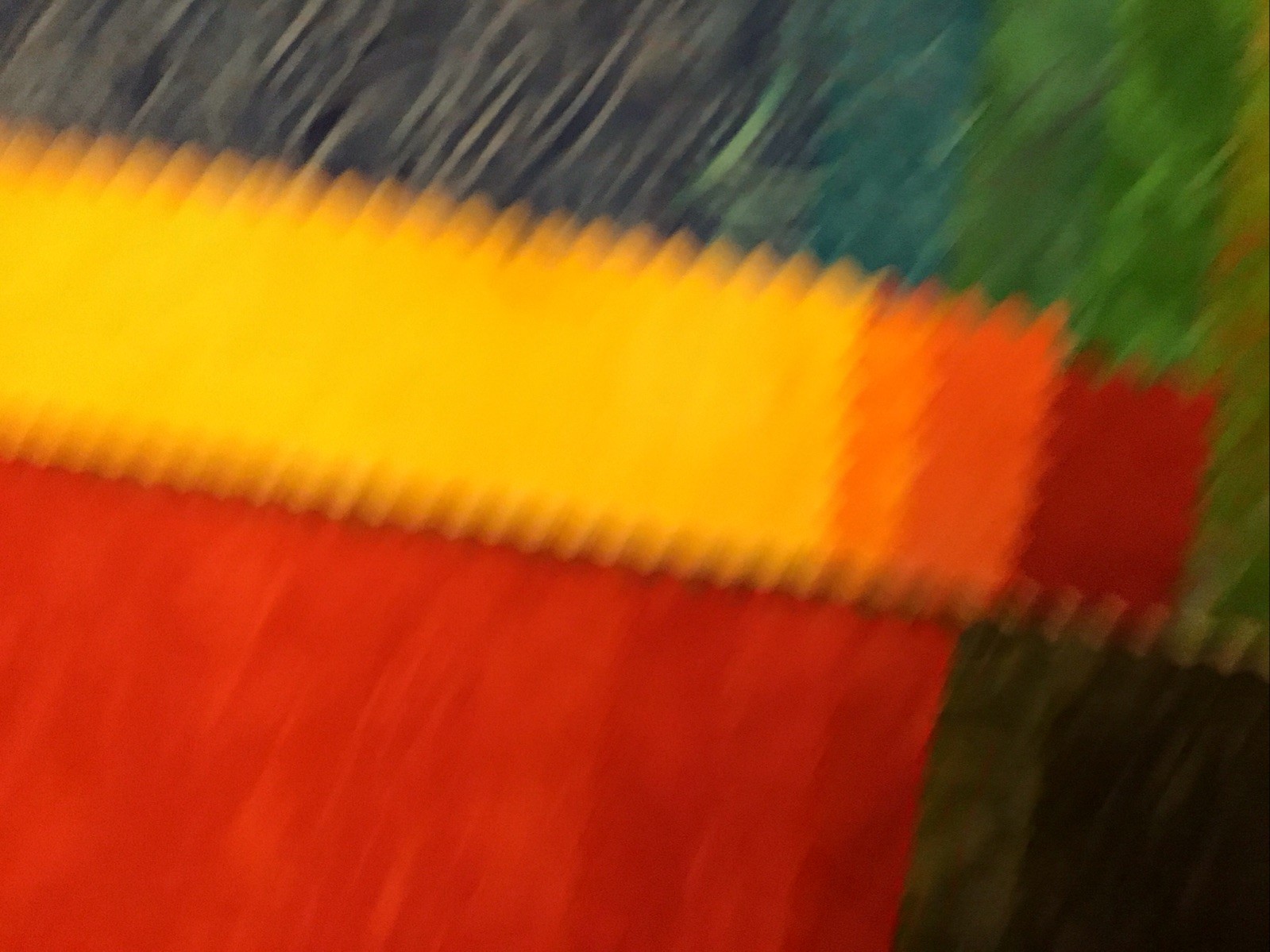 Fabric Batik Brights 29 Piece Collection, Salesman Samples