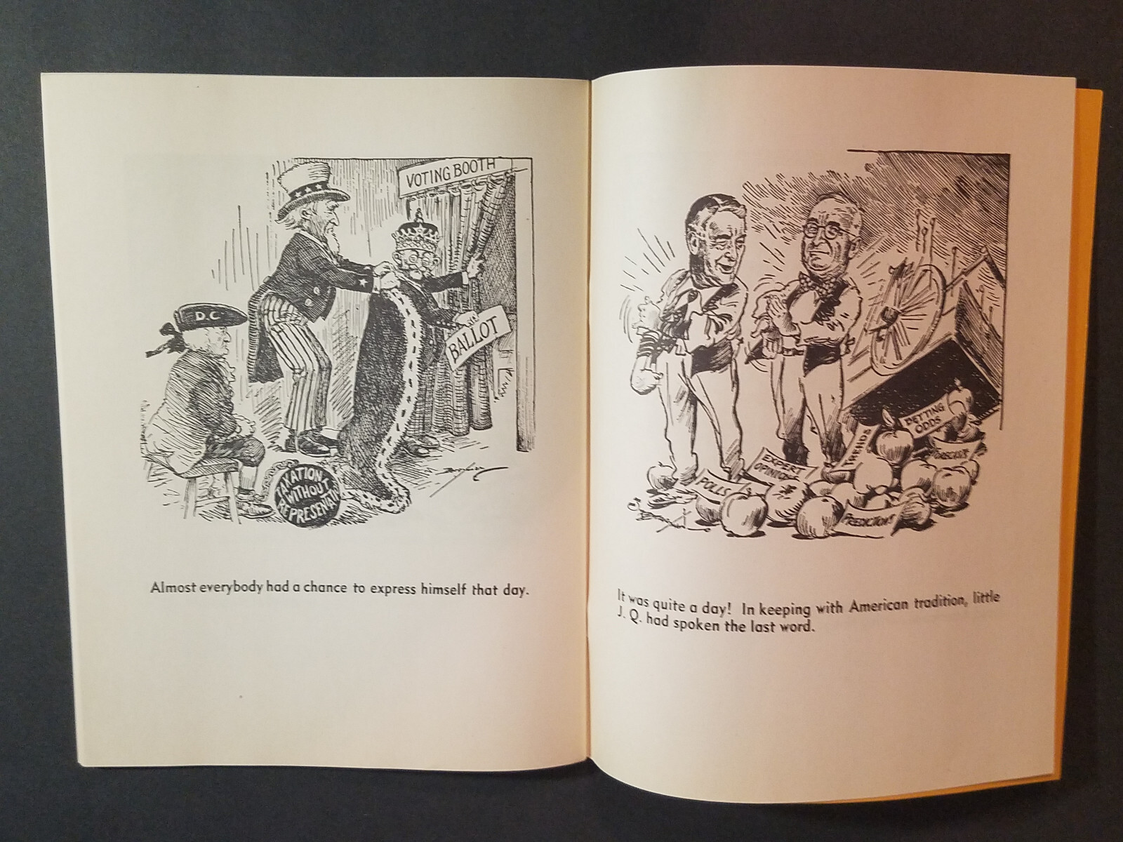 The Campaign of ’48 in Washington Star Cartoons