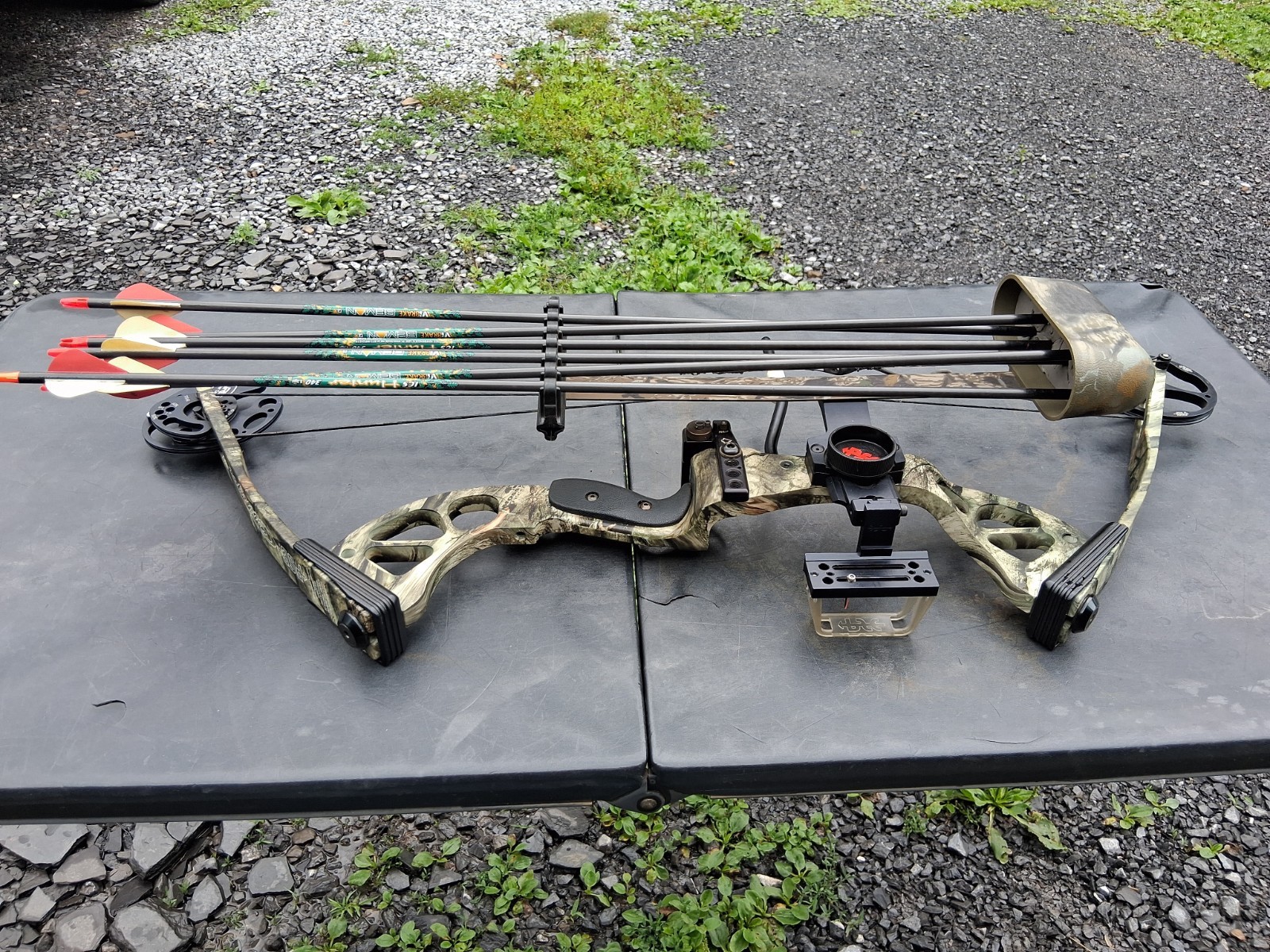 PSE Stinger Compound Bow