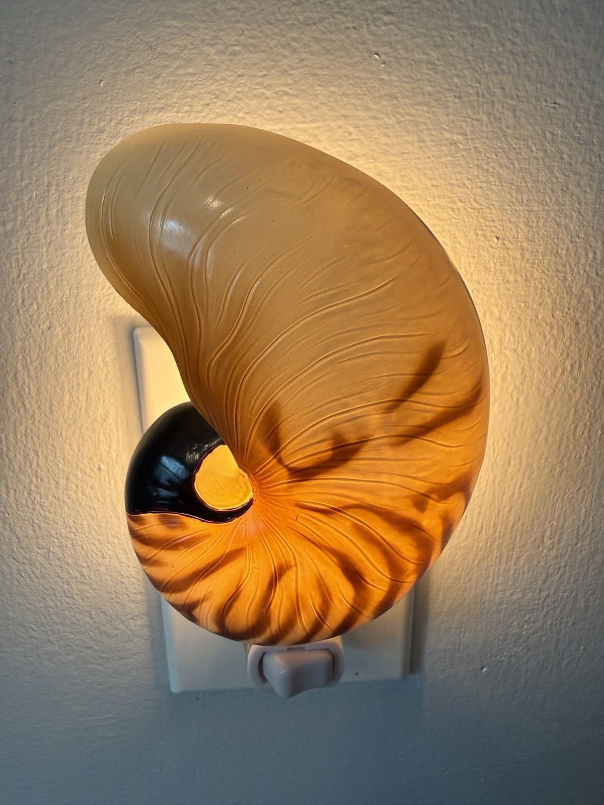 Ibis And Orchid Design Nautilus Shell Night Light New In Box Rare Retired