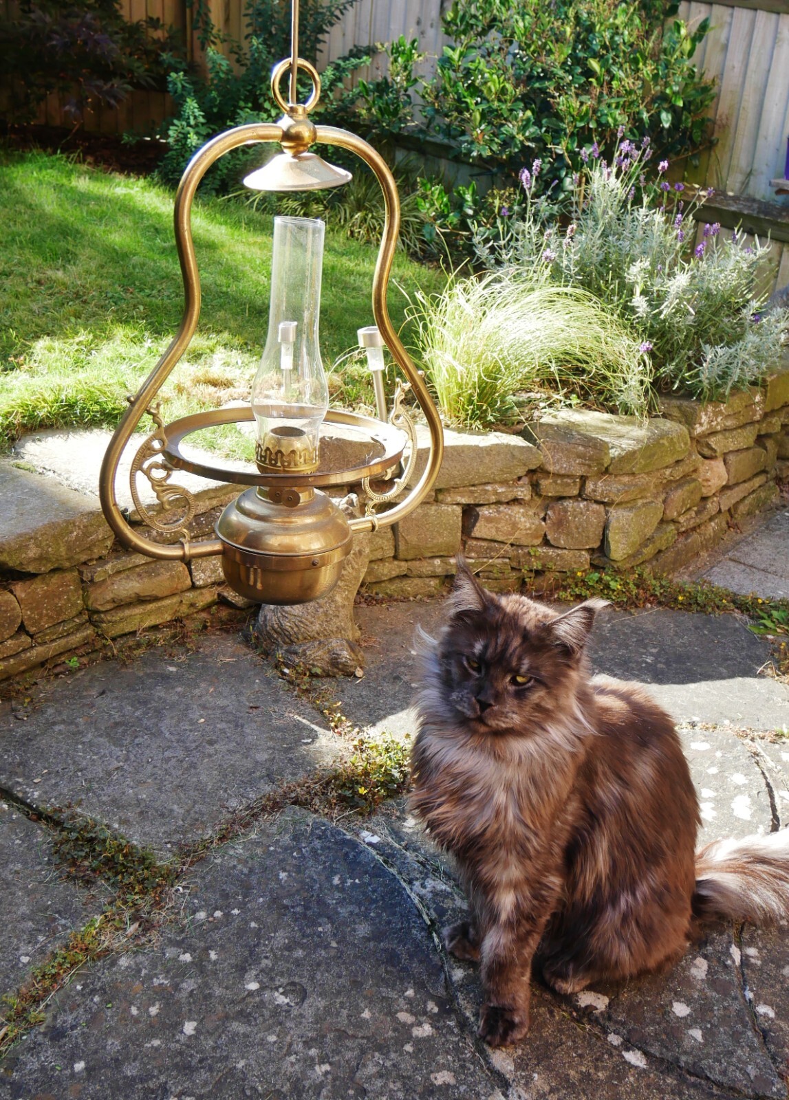 Art nouveau style hanging light, oil lamp conversion