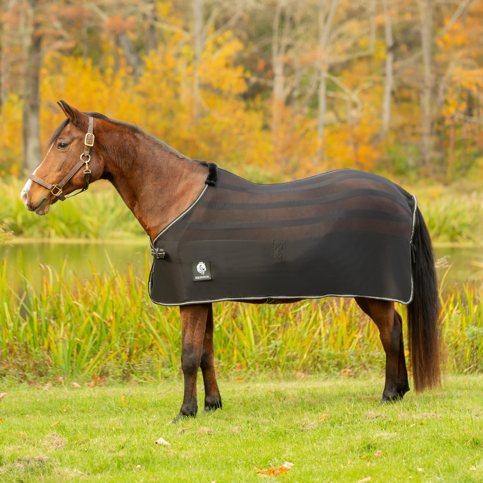 Equinavia Sefyr Breathable Lightweight Cooling Scrim Sheet - Black - S
