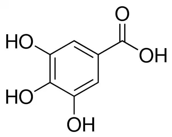 Gallic acid  99.5%, 3,4,5-Trihydroxybenzoic acid