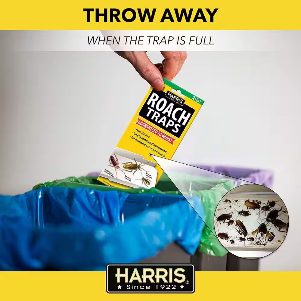 Roach Trap Value Pack