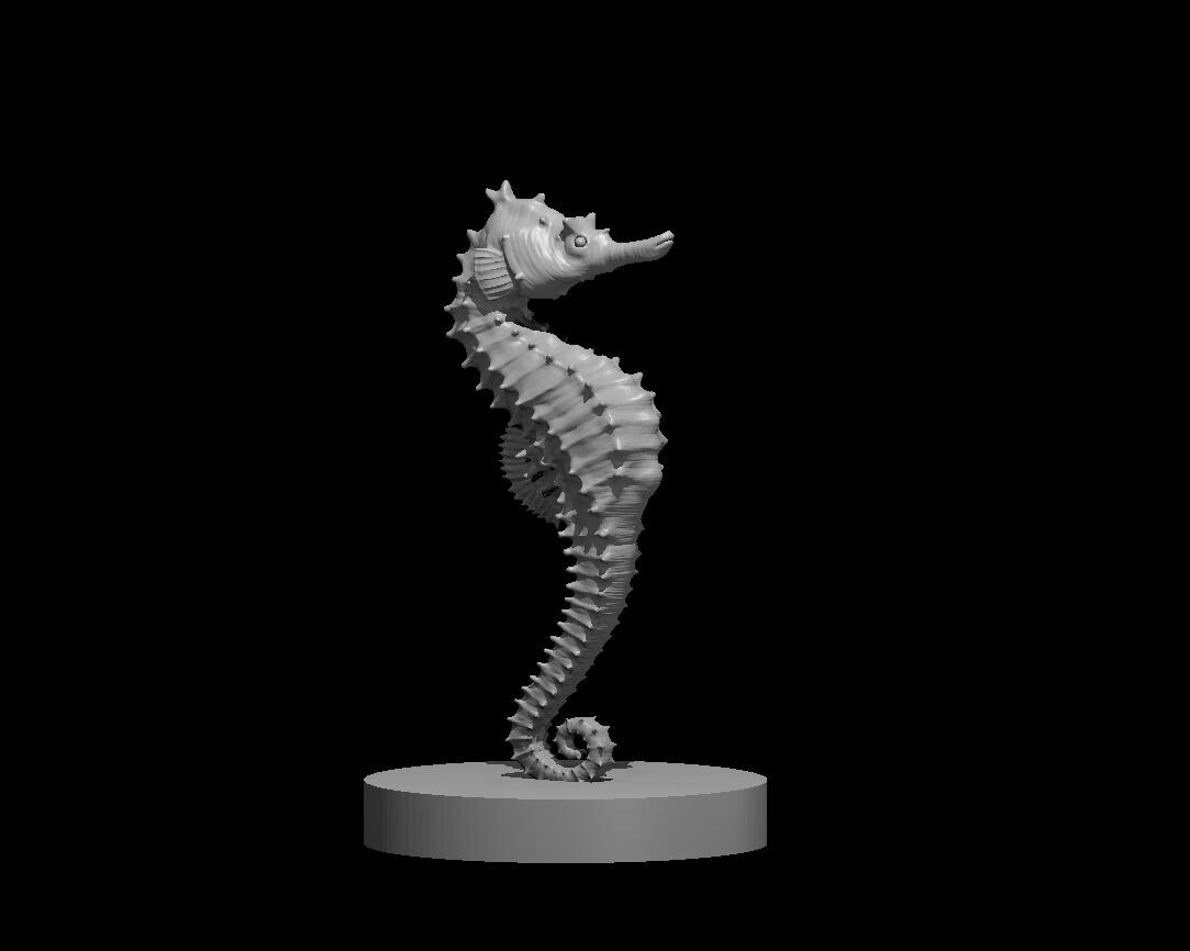 Seahorse Monster Manual 28mm Scale DND D&D Tabletop Mini