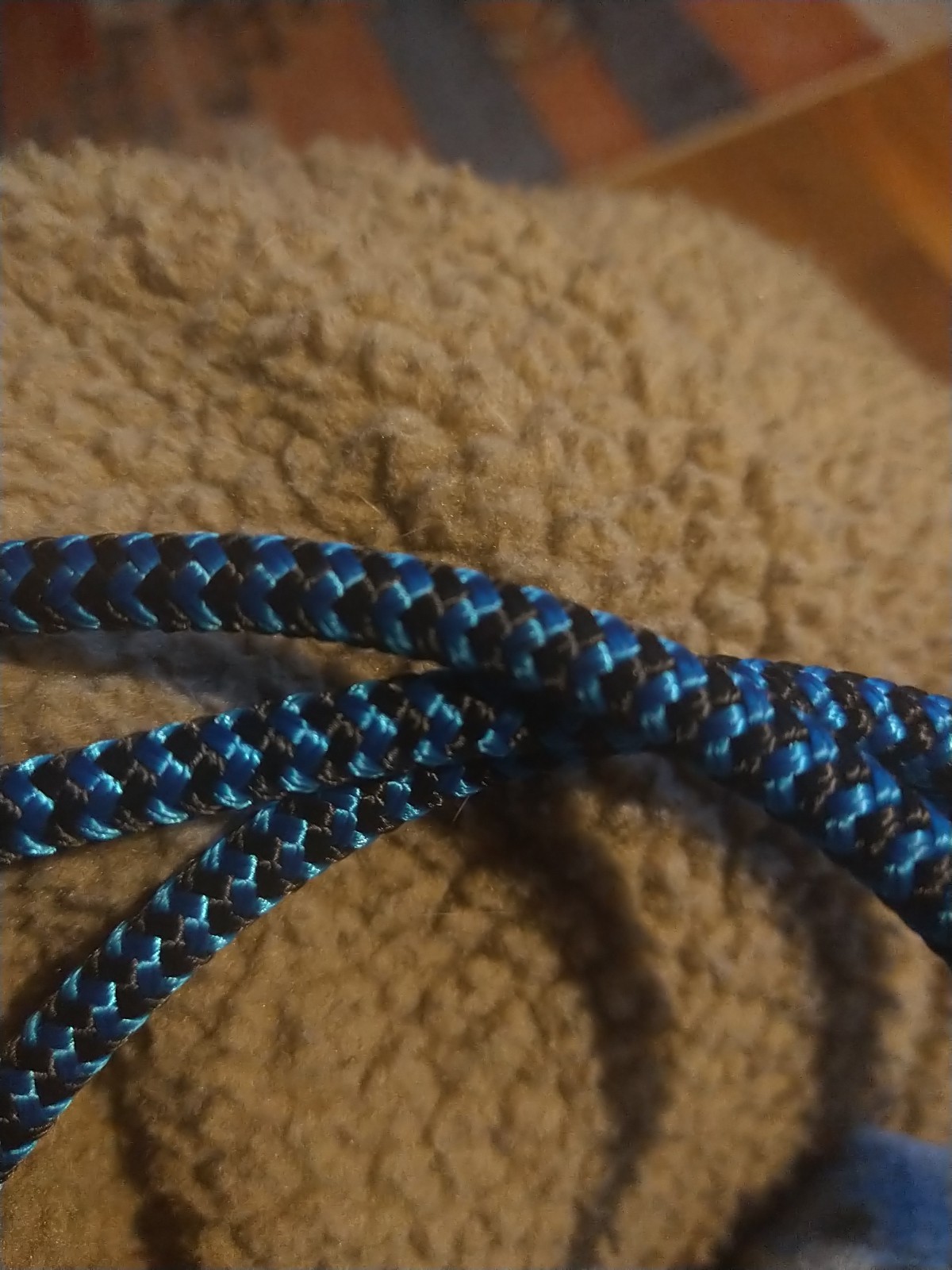 Weaver Leather Weaver Stacy Westfall Average Rope Halter Blue/Black