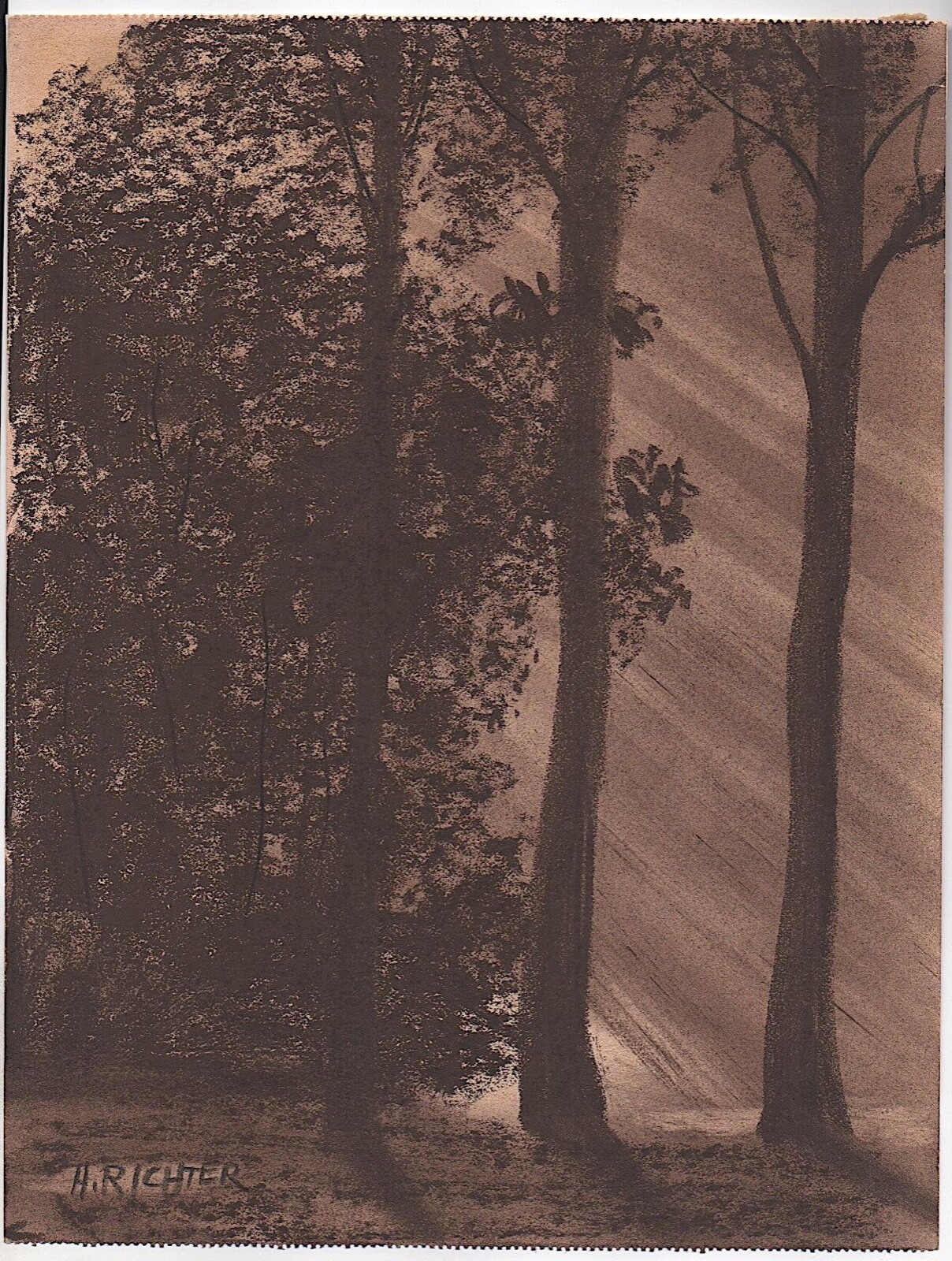 Hermann Richter (1875 -1941) Pastel