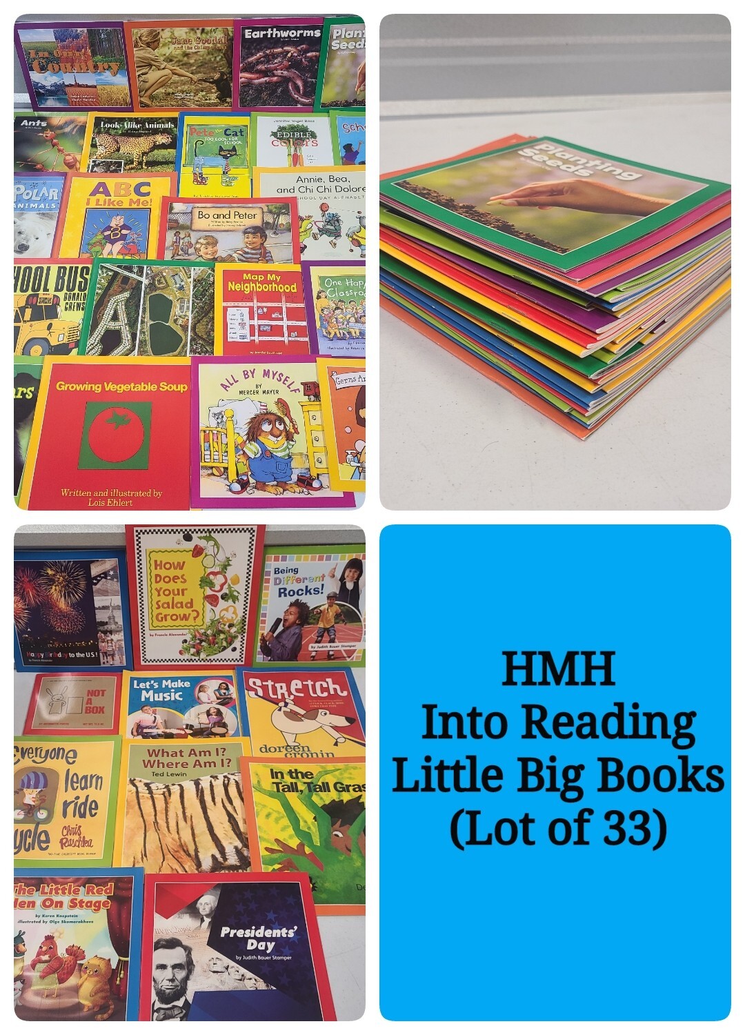 Lot of 33 - Kindergarten- HMH Into Reading Read Aloud Books, Little Big Books