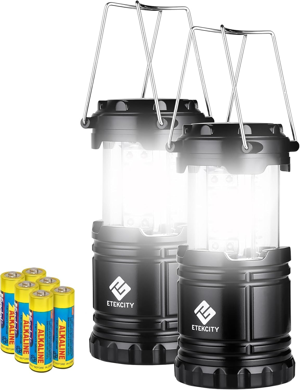 Etekcity 2Pack LED Camping Lantern Waterproof Emergency Flashlight Black