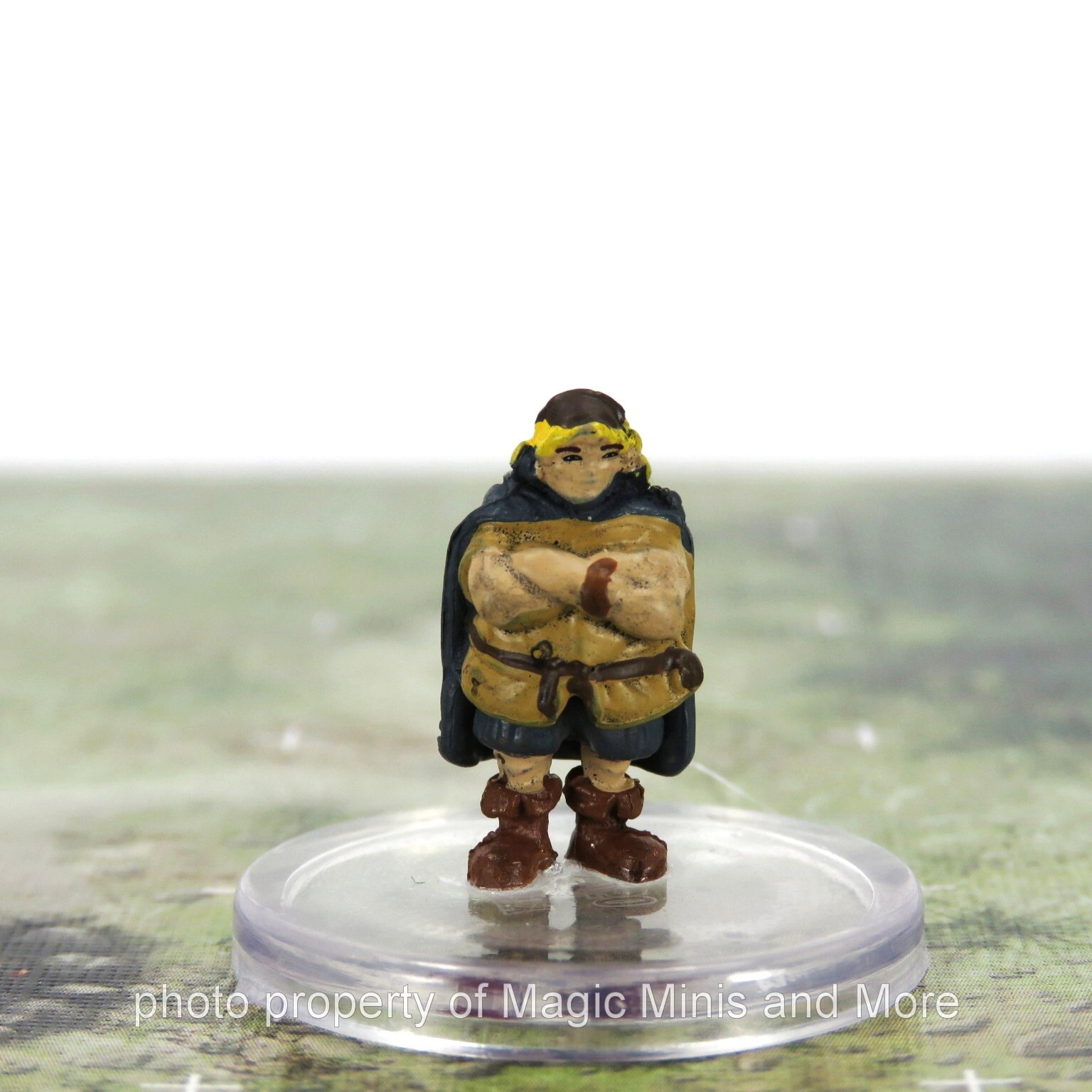 Wild Beyond Witchlight ~ BOBBY #13 Icons of the Realm D&D villager boy mini bobi