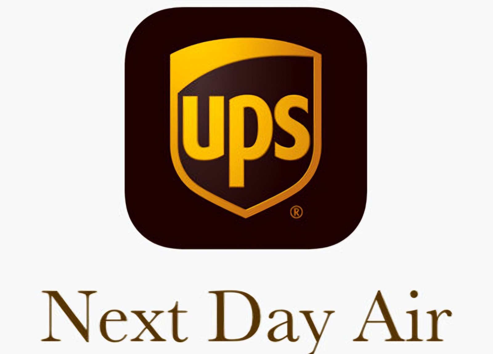 Additional Shipping Cost UPS NEXT DAY AIR Upgrade