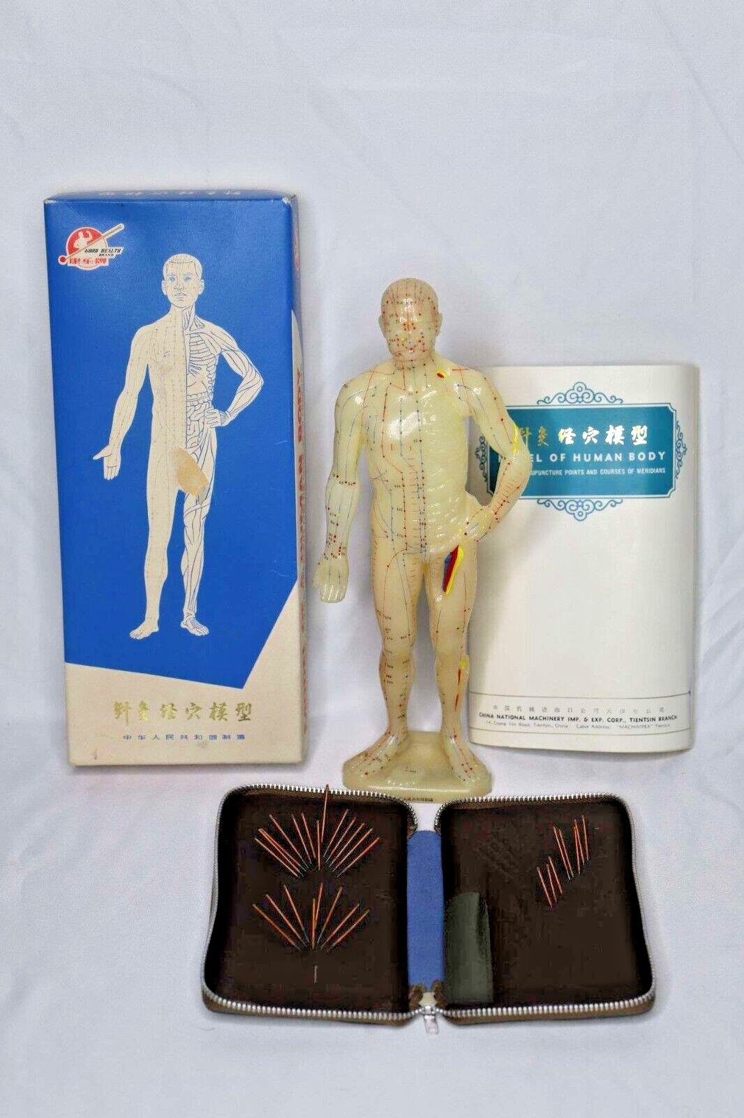 Vintage Good Health Brand Human Body Model Figure & Box Chinese Acupuncture Kit