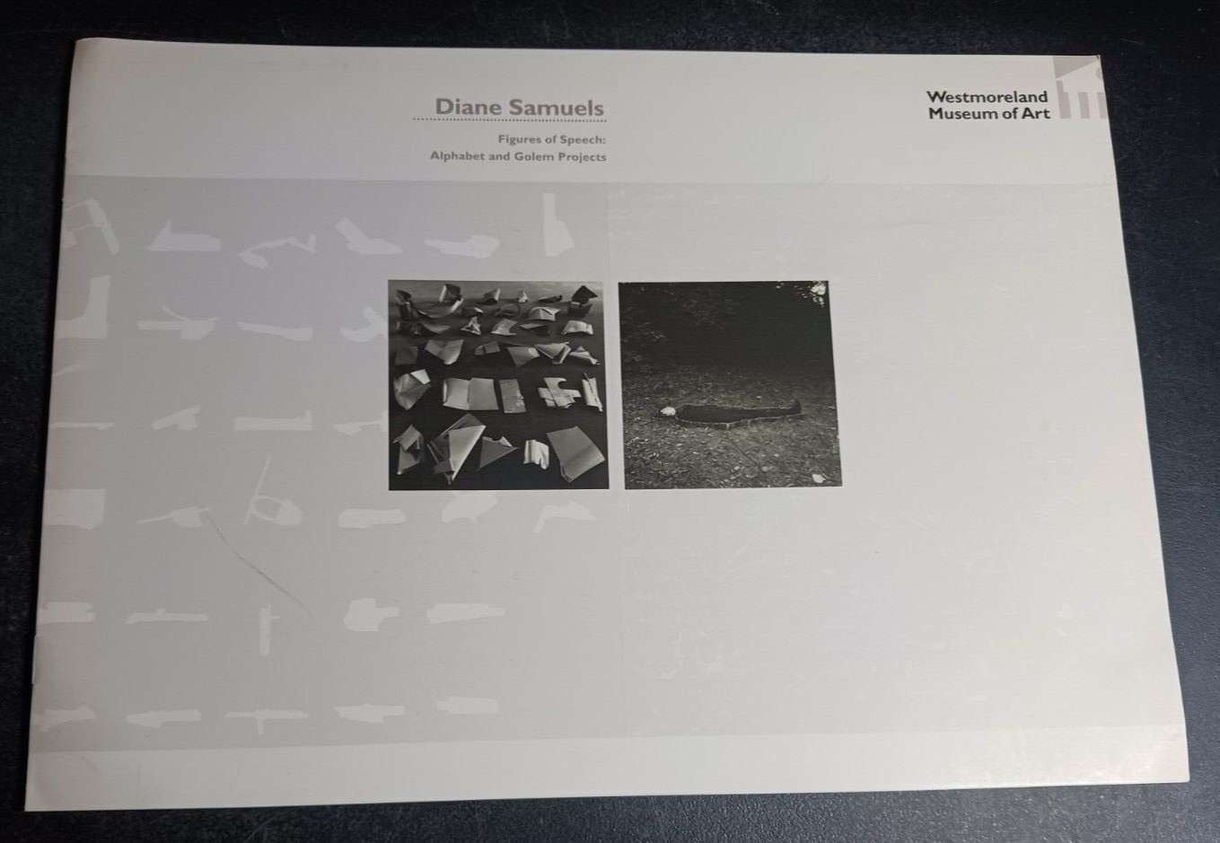 Diane Samuels Figures of Speech Westmoreland Museum of Art exhibition catalogue