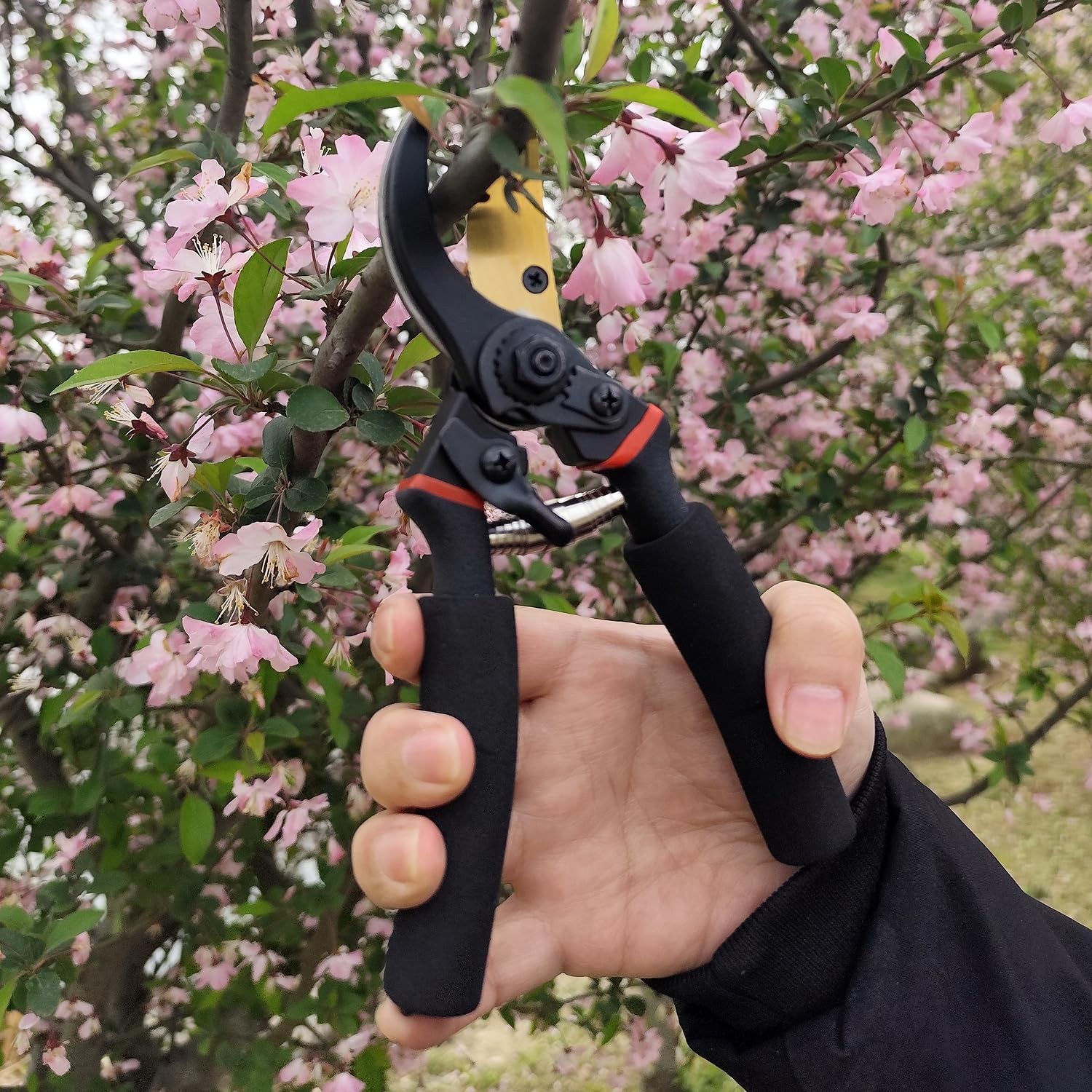 2Pack Pruning Shears, Garden 8 inches (length only), Black