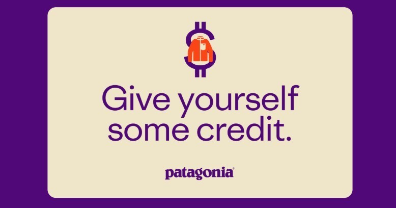Patagonia Gift card - 234$