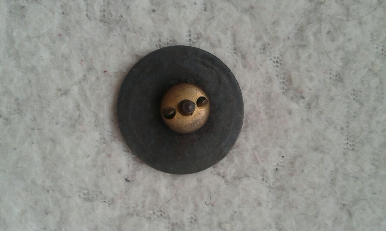 Copernicus badge