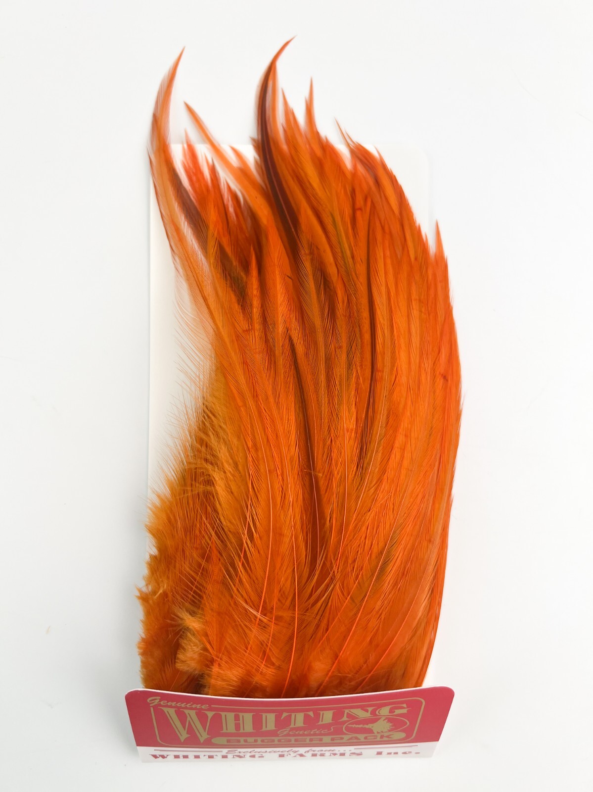 Whiting Farms - Bugger Pack - Burnt Orange
