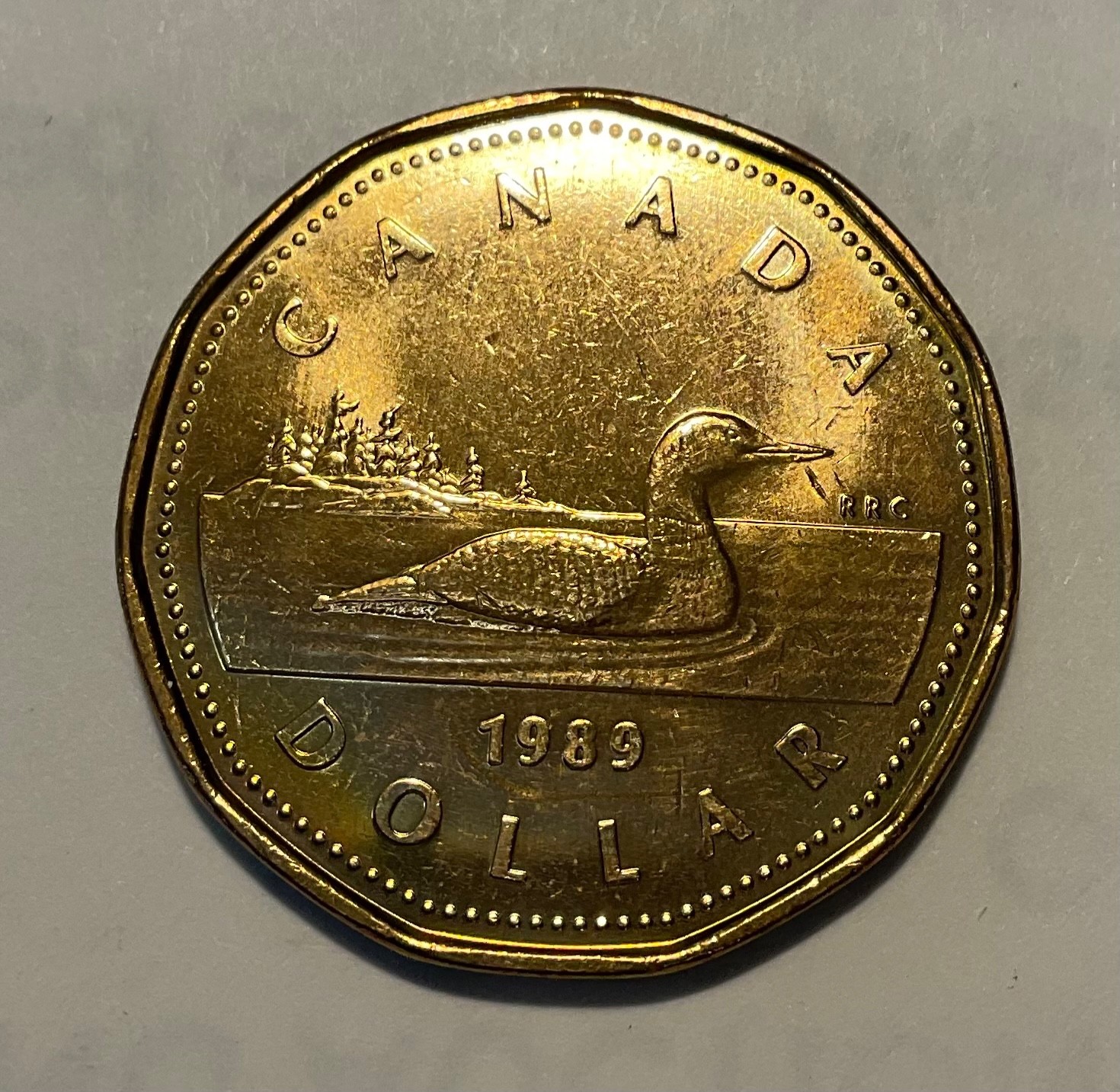 1989. CANADA LOON dollar coin appears to be  about uncirculated