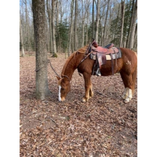 Cotton Braided Extra Long Adjustable Trail Reins/Neck Rope Combo