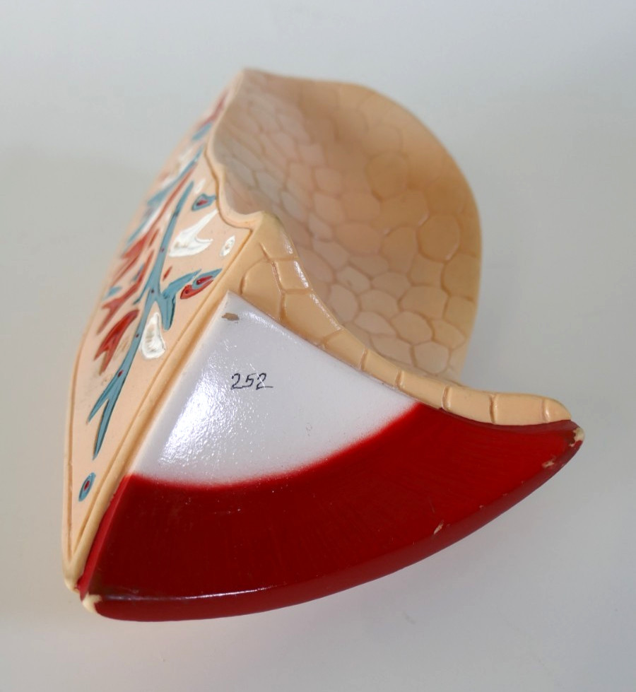 Denoyer Geppert anatomical model lung Replacement