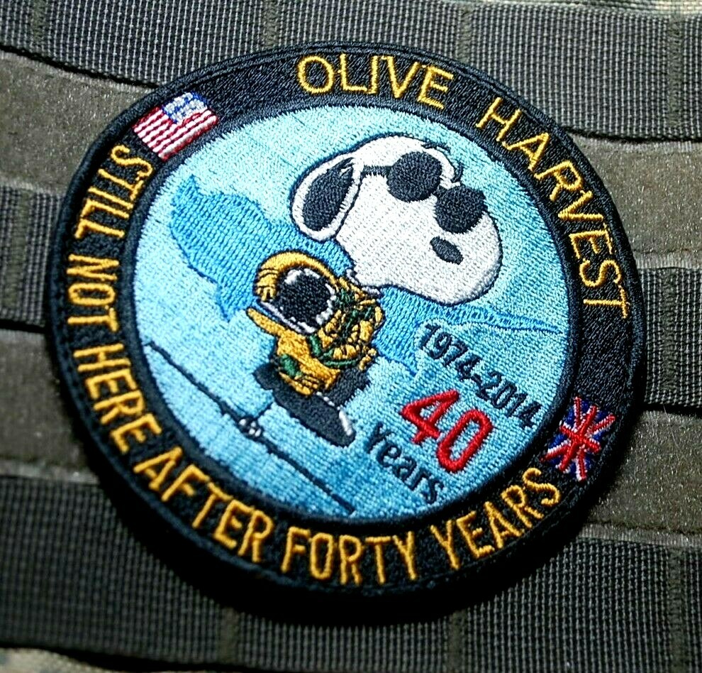 JIATF JOINT INTERAGENCY TASK FORCE SOUTH vêlkrö PATCH: COMMITTED TO EXCELLENCE